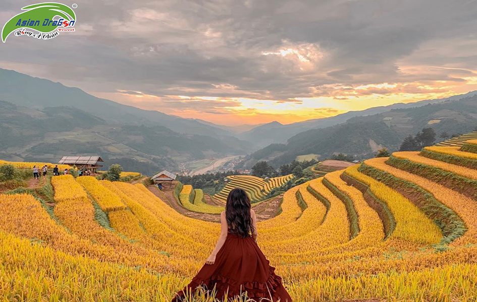 TOUR MÙ CANG CHẢI MÙA LÚA 5 NGÀY 4 ĐÊM